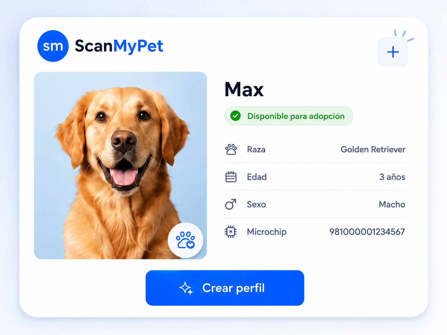 Crea su perfil digital